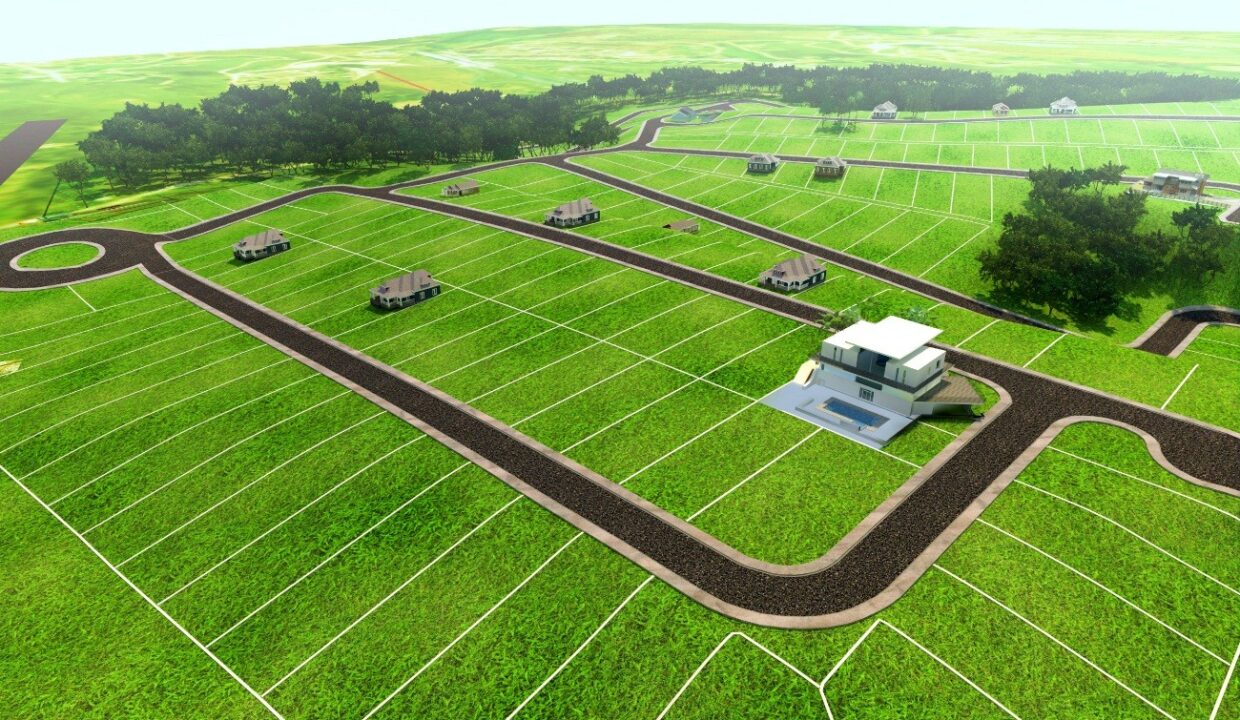 Investir em lote é uma das aplicações mais seguras e rentáveis do mercado